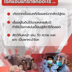 โรคแอนแทรกซ์ คืออะไร
