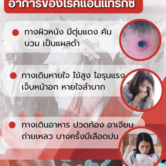 อาการของโรคแอนแทรกซ์