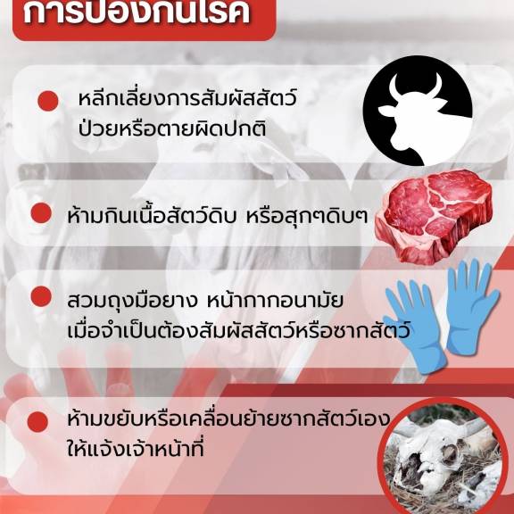 การป้องกันโรคแอนแทรกซ์