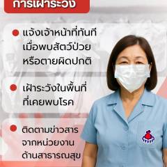 การเฝ้าระวังโรคแอนแทรกซ์