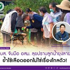 สบส. จับมือ อสม. ลุยปราบลูกน้ำยุงลาย ป้องกันไข้เลือดออกทั่วชุมชน ย้ำไข้เลือดออกไม่ใช่เรื่องไกลตัว!