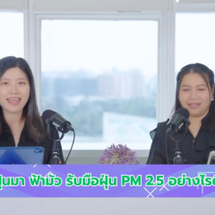 ฝุ่นมา ฟ้ามัว รับมือฝุ่น PM 2.5 อย่างไรดี | กรมสนับสนุนบริการสุขภาพ | HAPPY PLACE