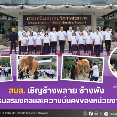 สบส. เชิญช้างพลาย ช้างพัง  เสริมสิริมงคลและความมั่นคงของหน่วยงาน