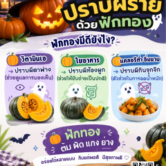 ฮาโลวีนนี้ ปราบผีร้ายด้วยฟักทอง